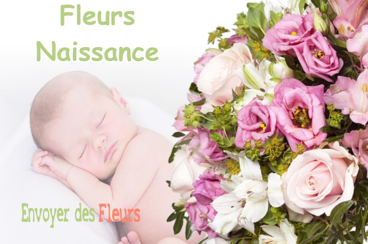 lIVRAISON FLEURS NAISSANCE à COMMUNAILLES-EN-MONTAGNE